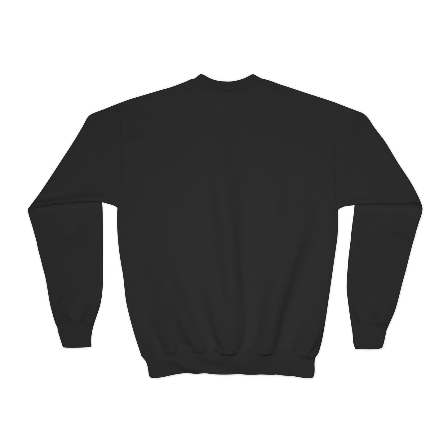 Constellation Sweatshirt | Youth | Lightweight