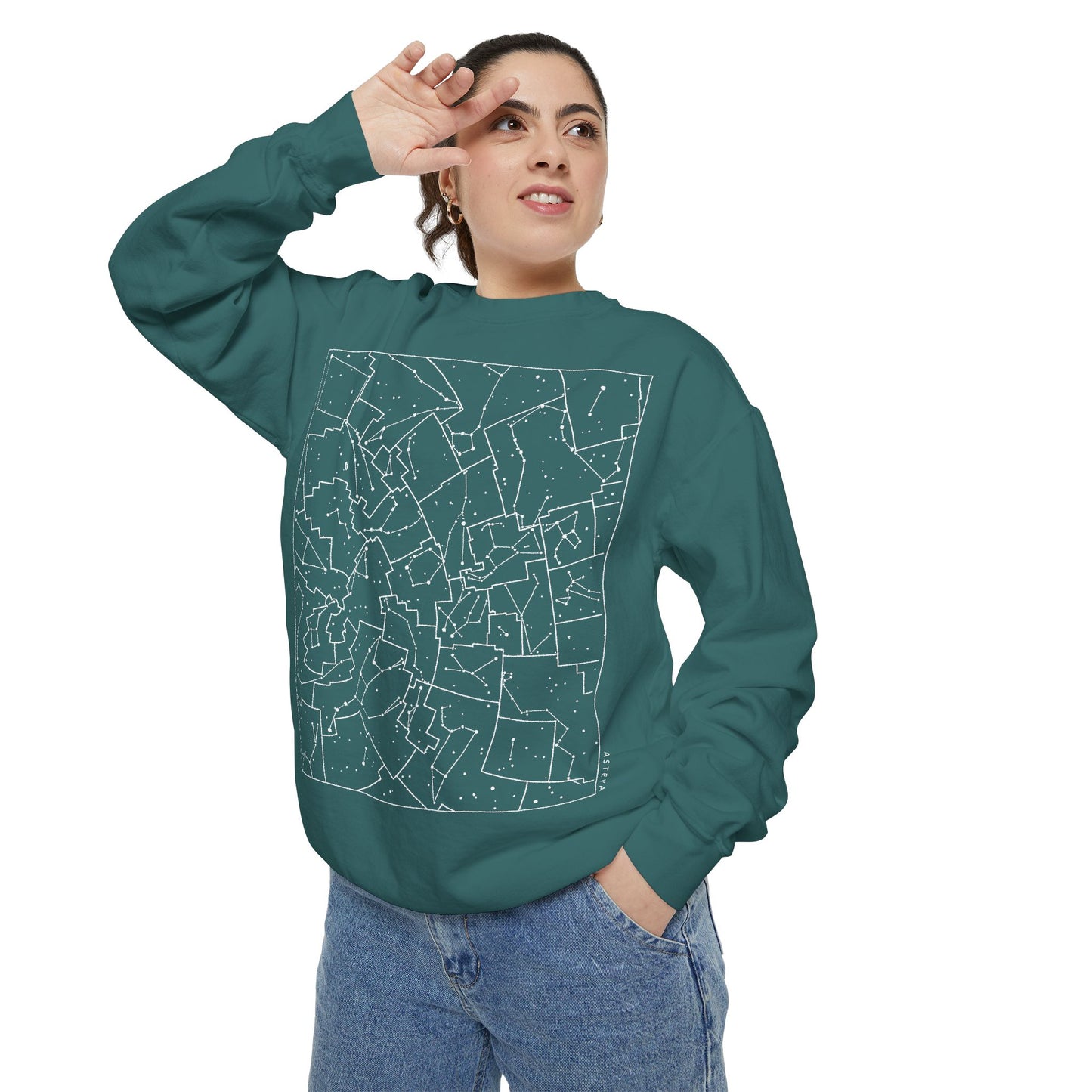 Constellations Sweatshirt | Adult | Heavyweight