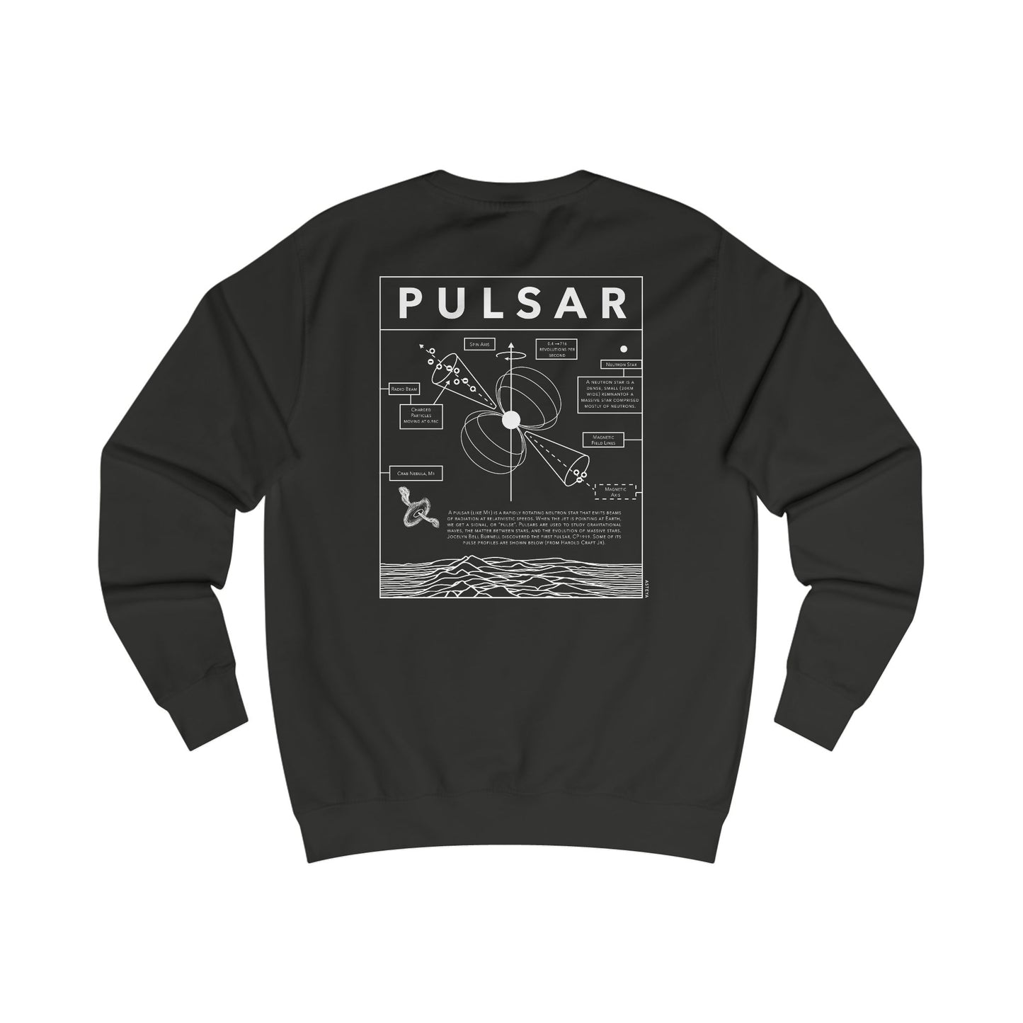Pulsar Sweatshirt | Adult | Heavyweight
