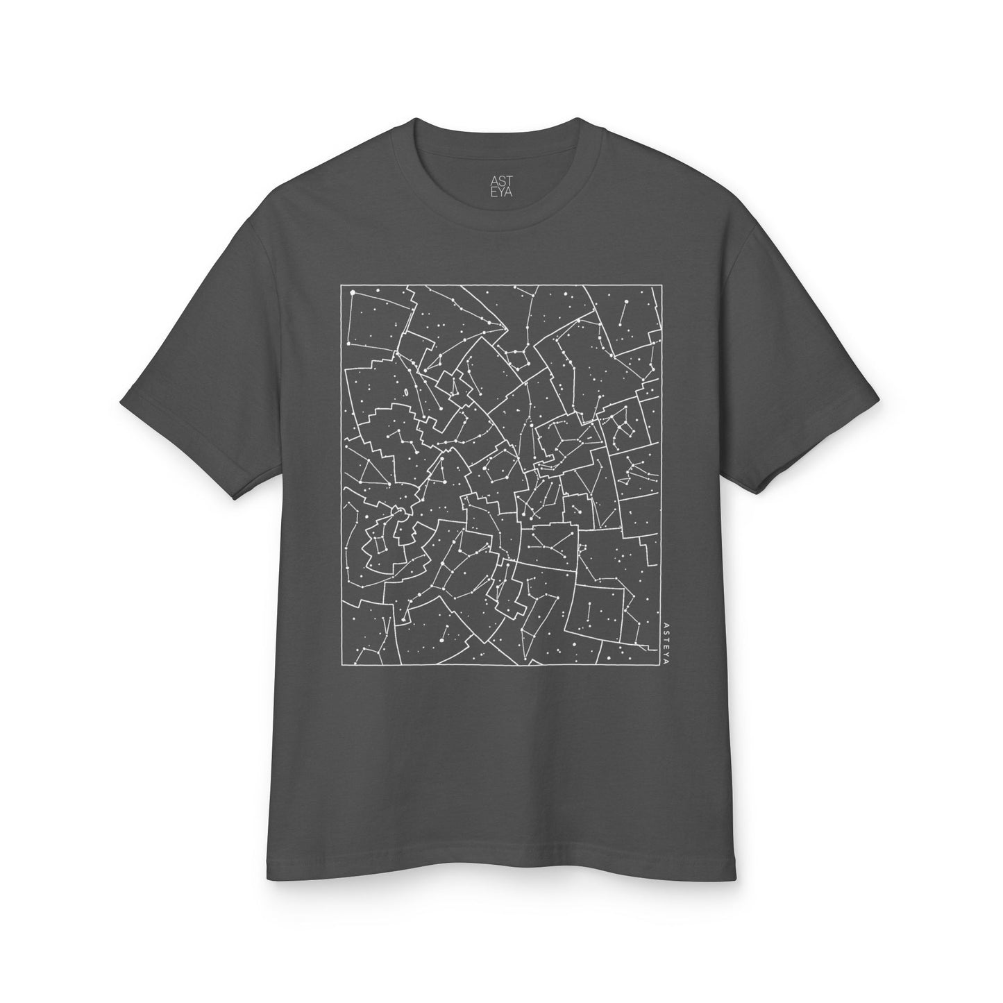 Constellation Map Tee | Adult | Heavyweight