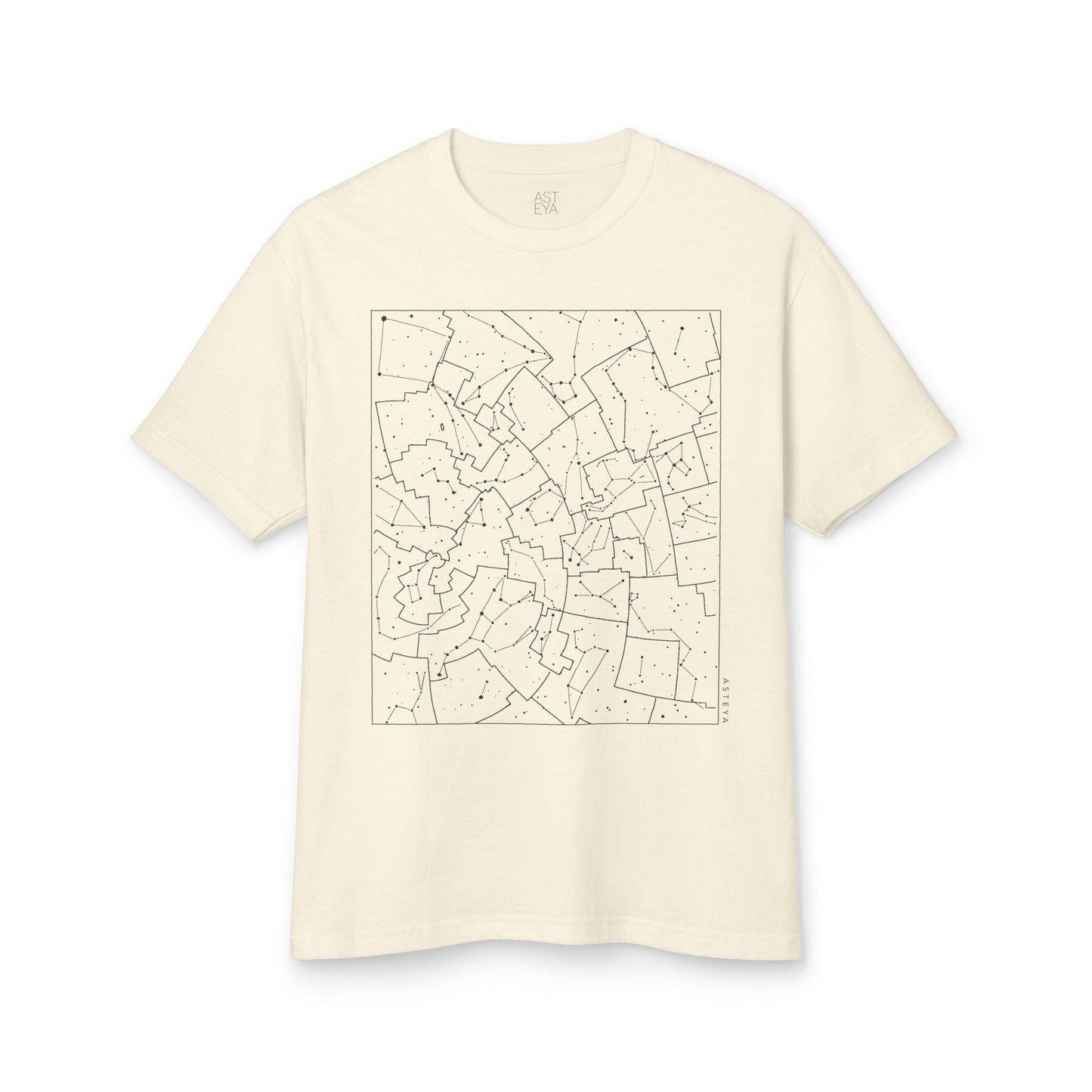 Constellation Map Tee | Adult | Heavyweight